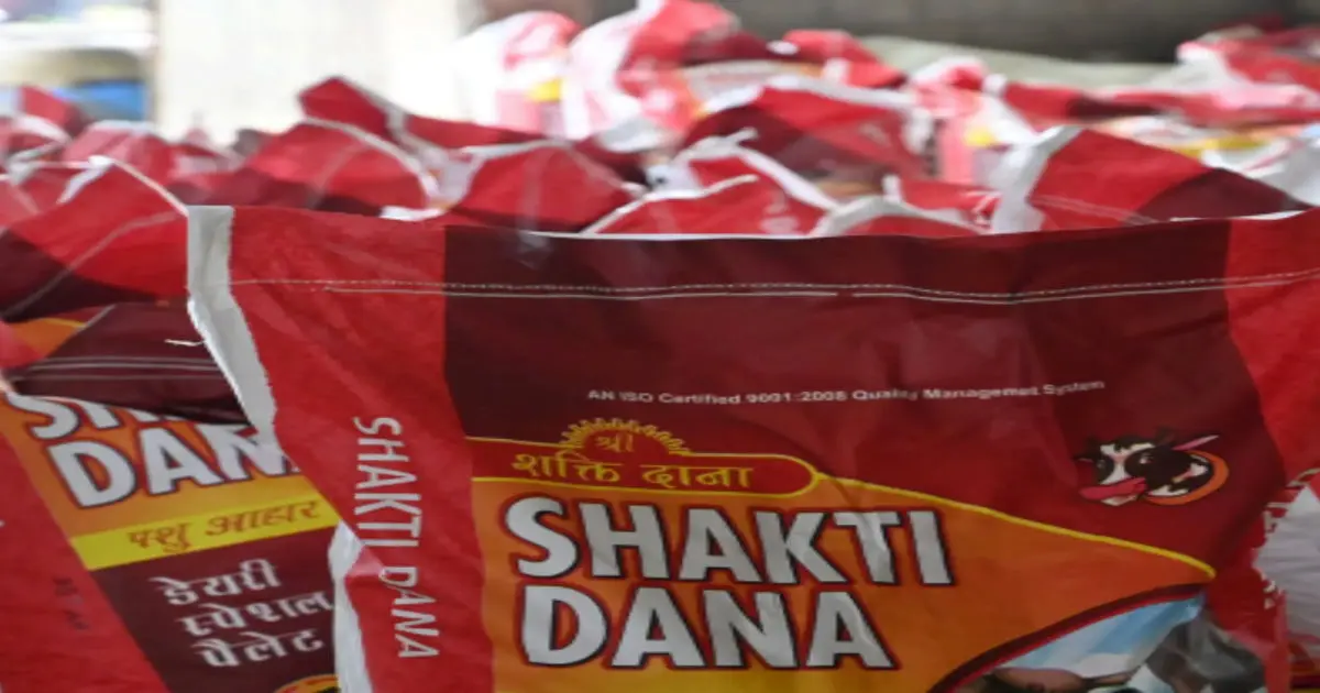 Cattle Feed Manufacturer