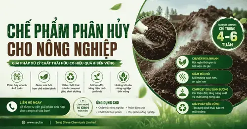 Chế phẩm phân hủy cho nông nghiệp hiệu quả tại Việt Nam