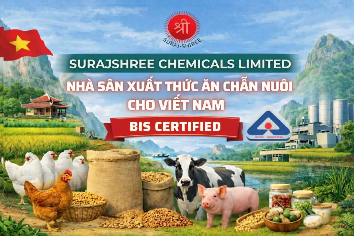 Nha san xuat thuc an chan nuoi cho viet nam