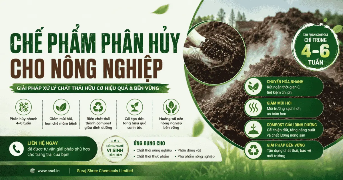 Chế phẩm phân hủy cho nông nghiệp hiệu quả tại Việt Nam