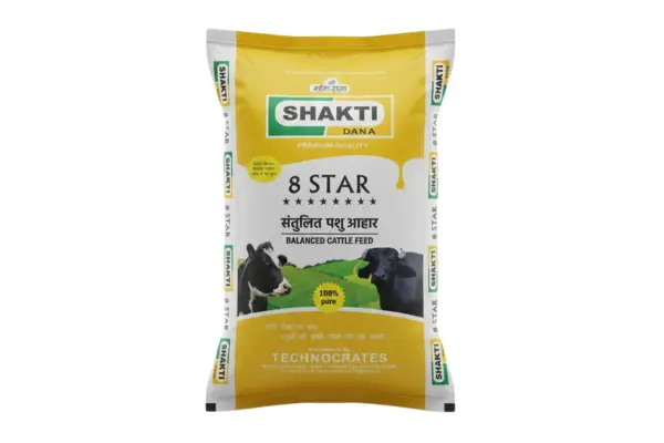 shakti 8 star