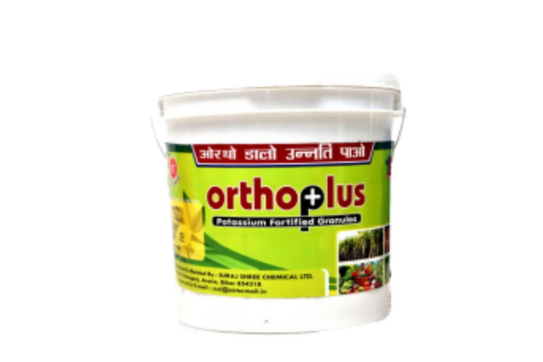 Orthoplus