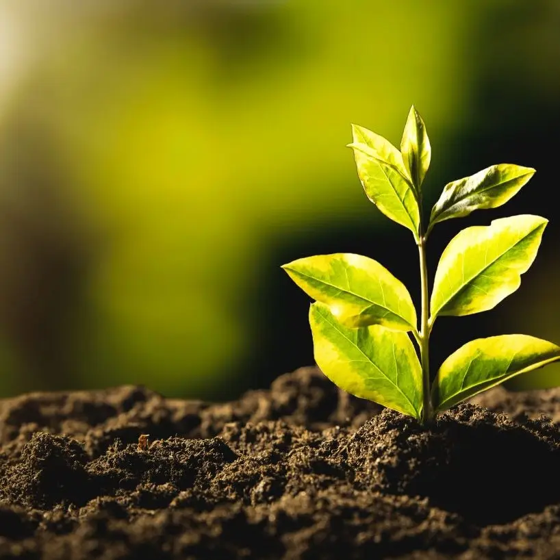 Sustainable agriculture